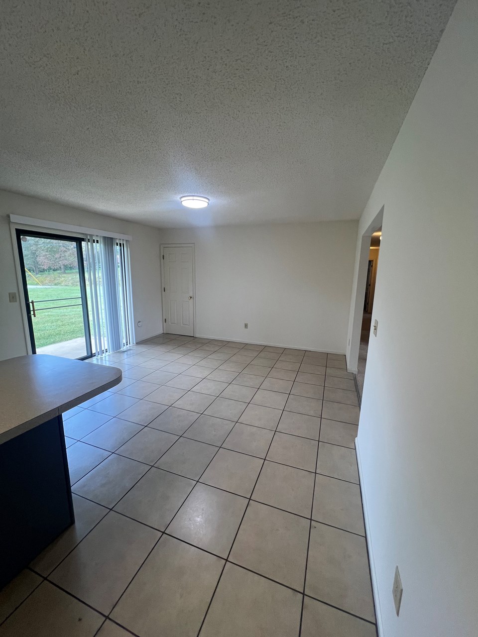 dining area from kitchen